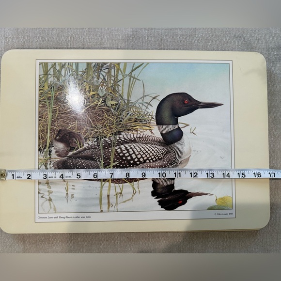 Vintage cork backed place mats common loon set of 4 matching - Picture 4 of 5